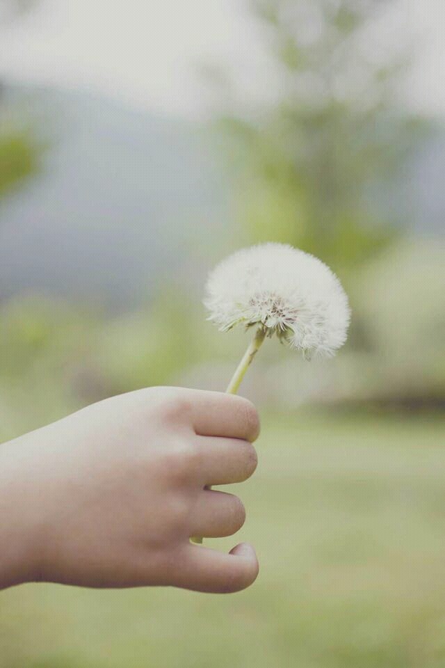 태형 이미지