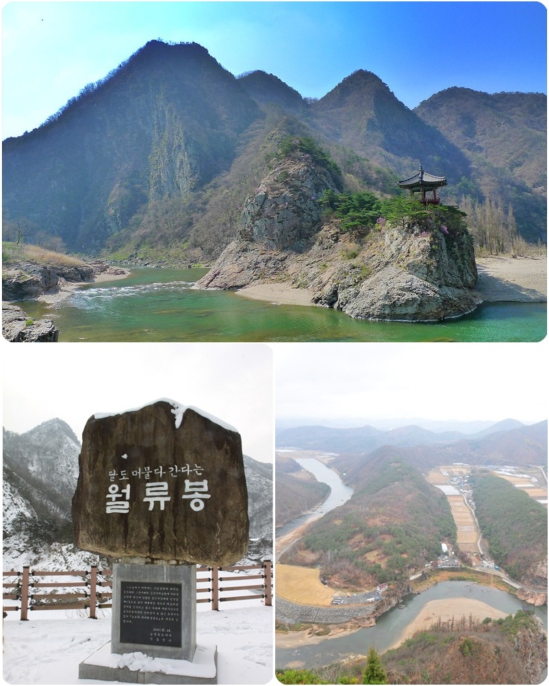 달빛농원 이미지