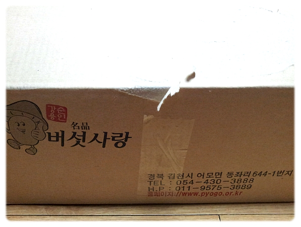 강순용명품버섯사랑 이미지