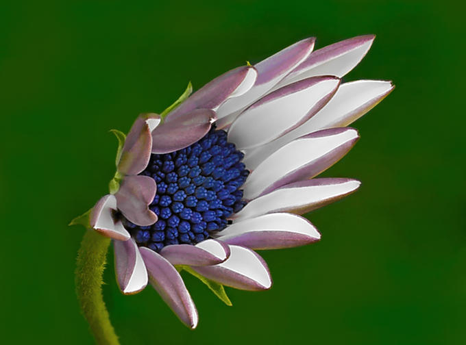 111B7B0949586467B7EDA6