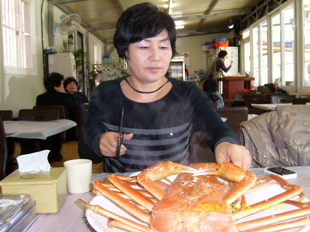 울진죽변항 이미지