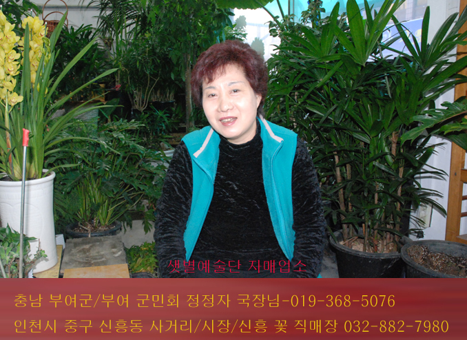 신흥화원 이미지
