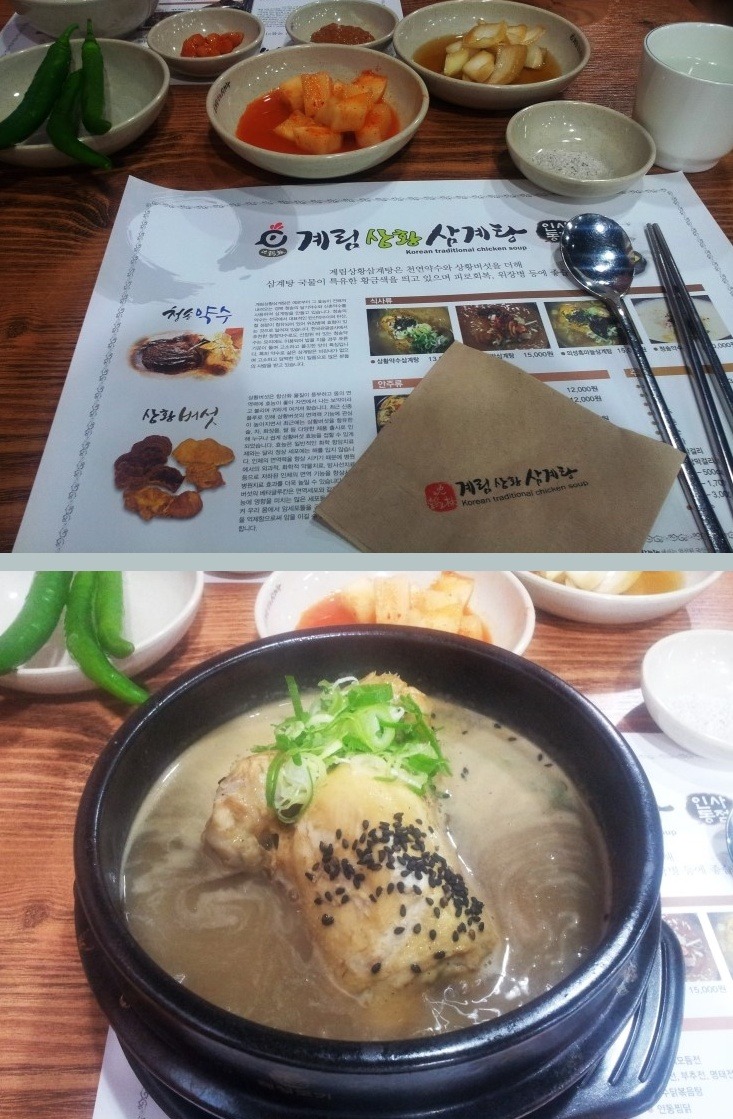 닭우리 이미지