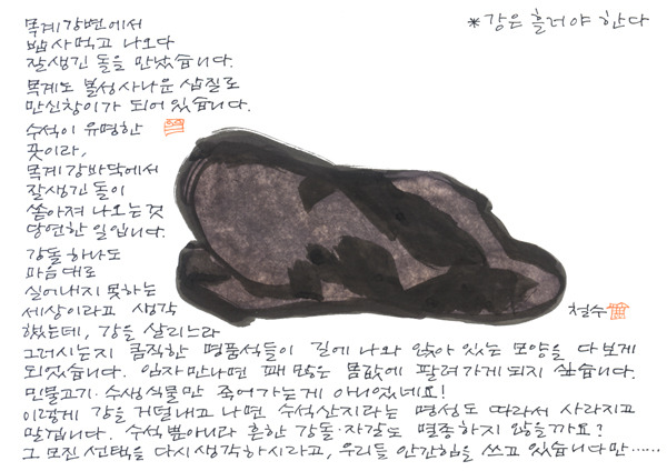 풀향기 이미지