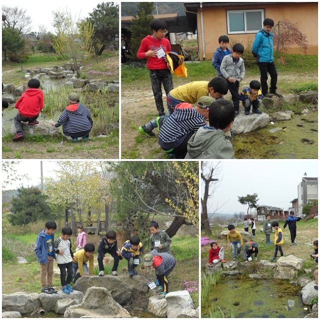 대관초등학교 이미지