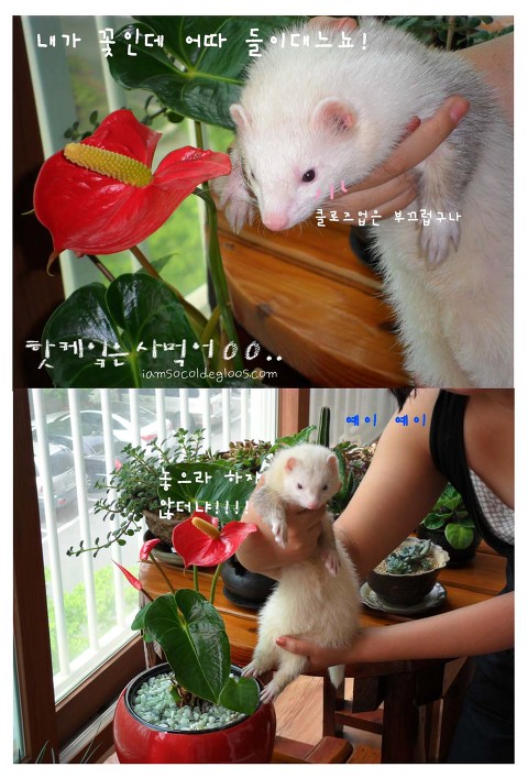 잠티 이미지