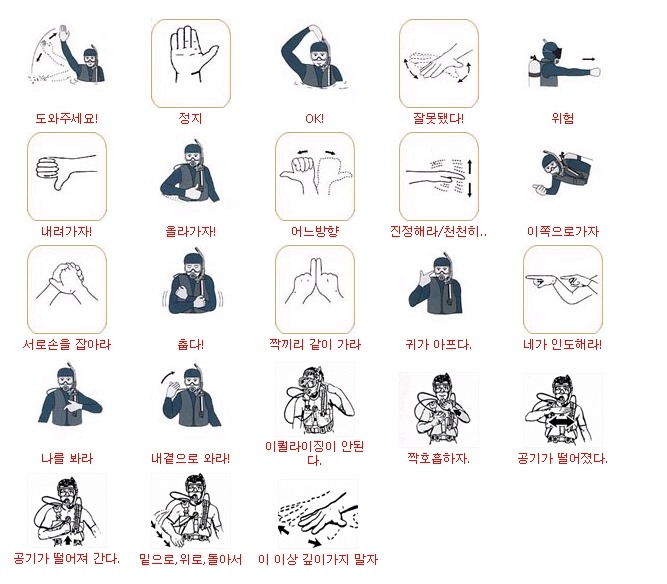 수화 이미지
