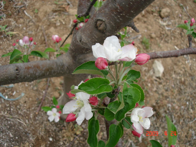 덕산방 이미지