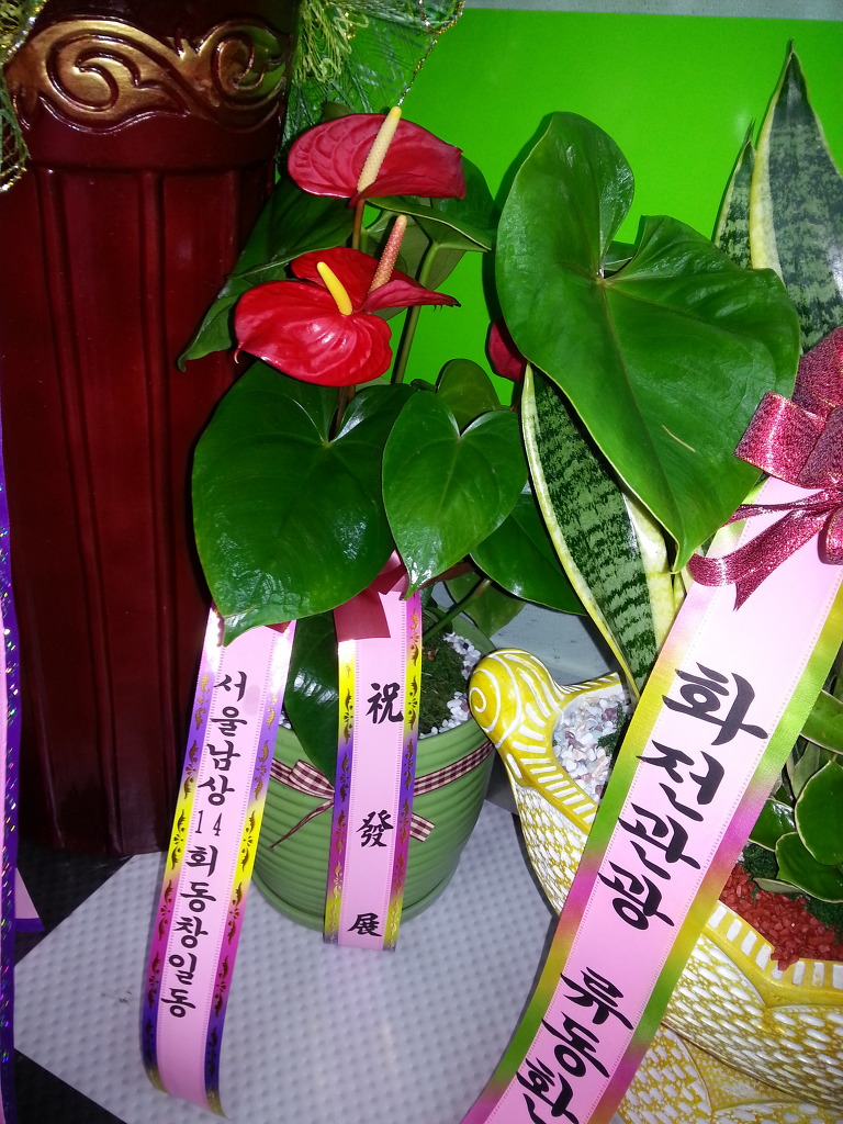 보물섬여행사 이미지