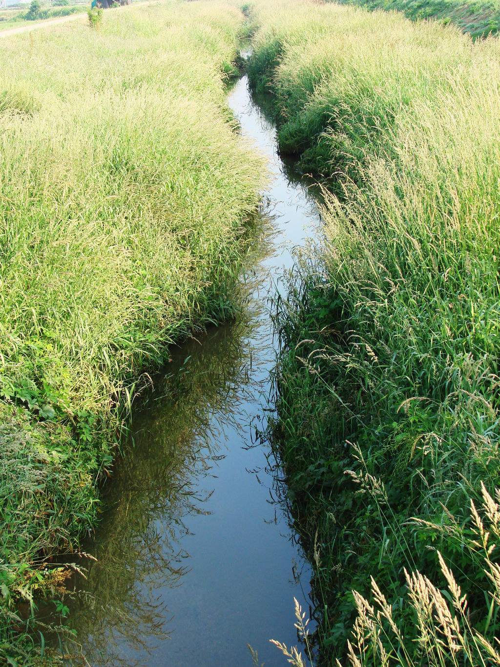어린왕자의들꽃사랑마을