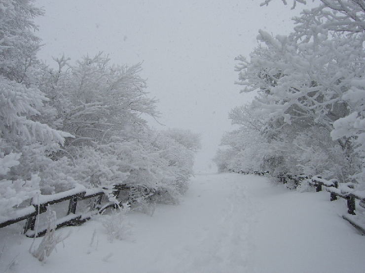 지리산IC 이미지