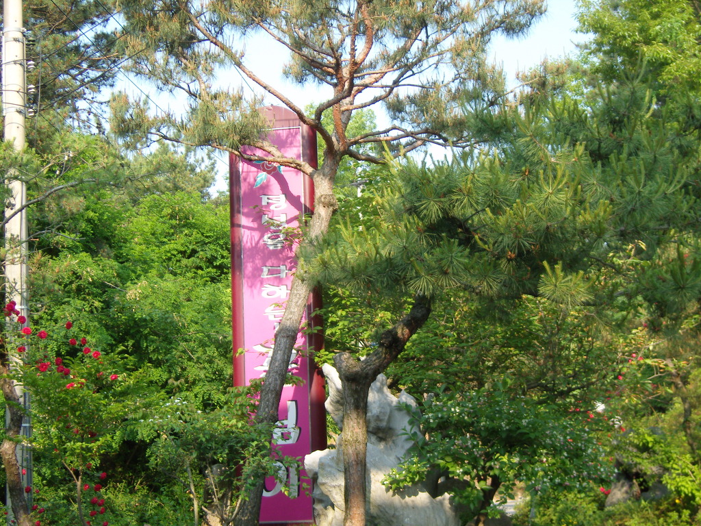 꽃님이 이미지
