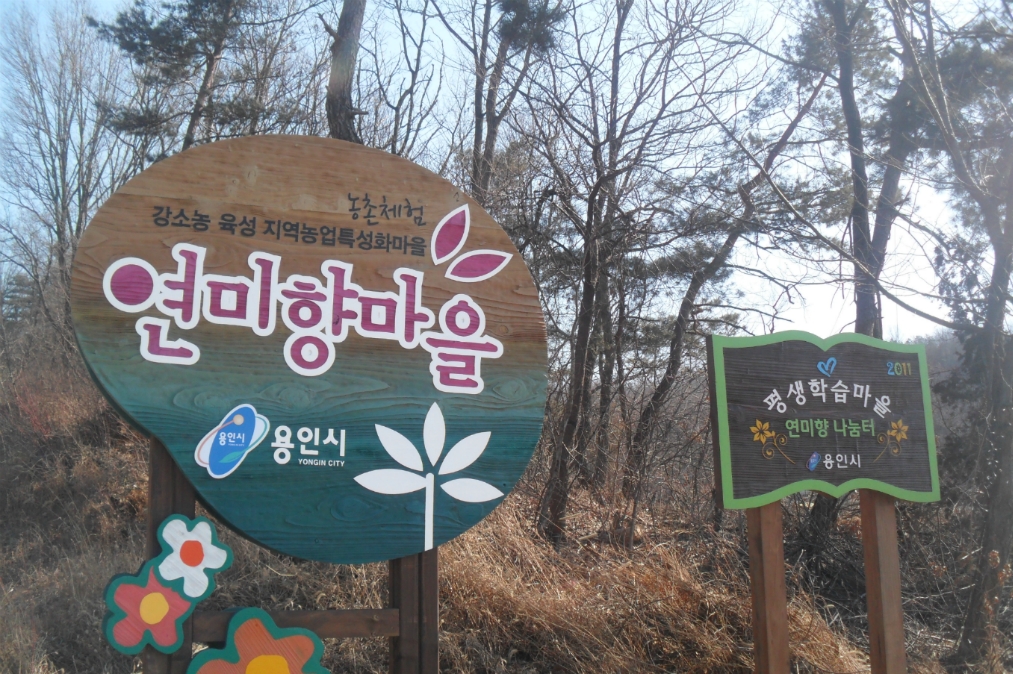 연미향 이미지