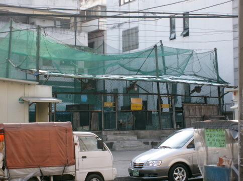 야구연습장 이미지