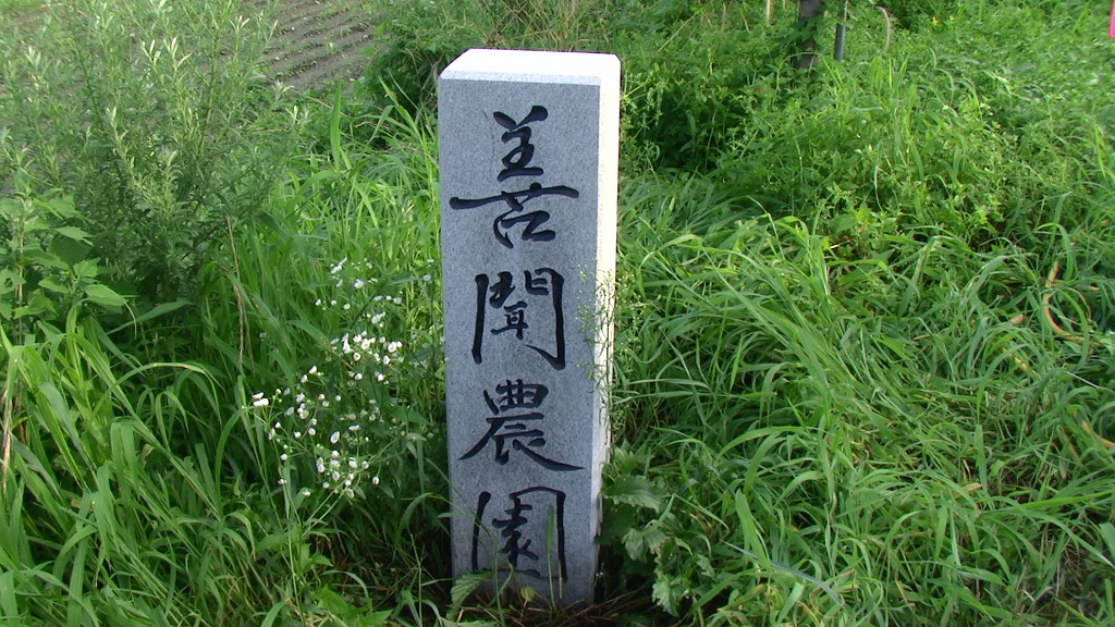 선문농원 이미지