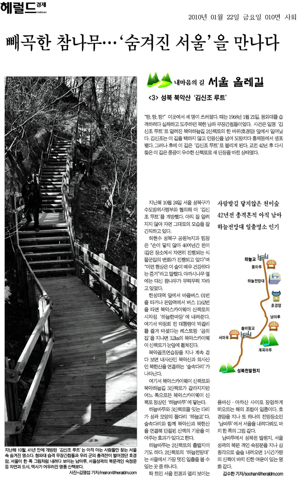 참나무 숲길 이미지