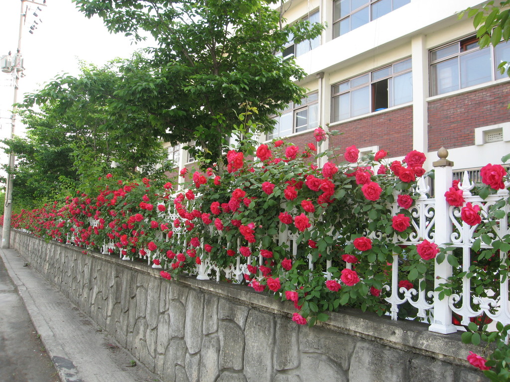 1776D2174A12050619123B