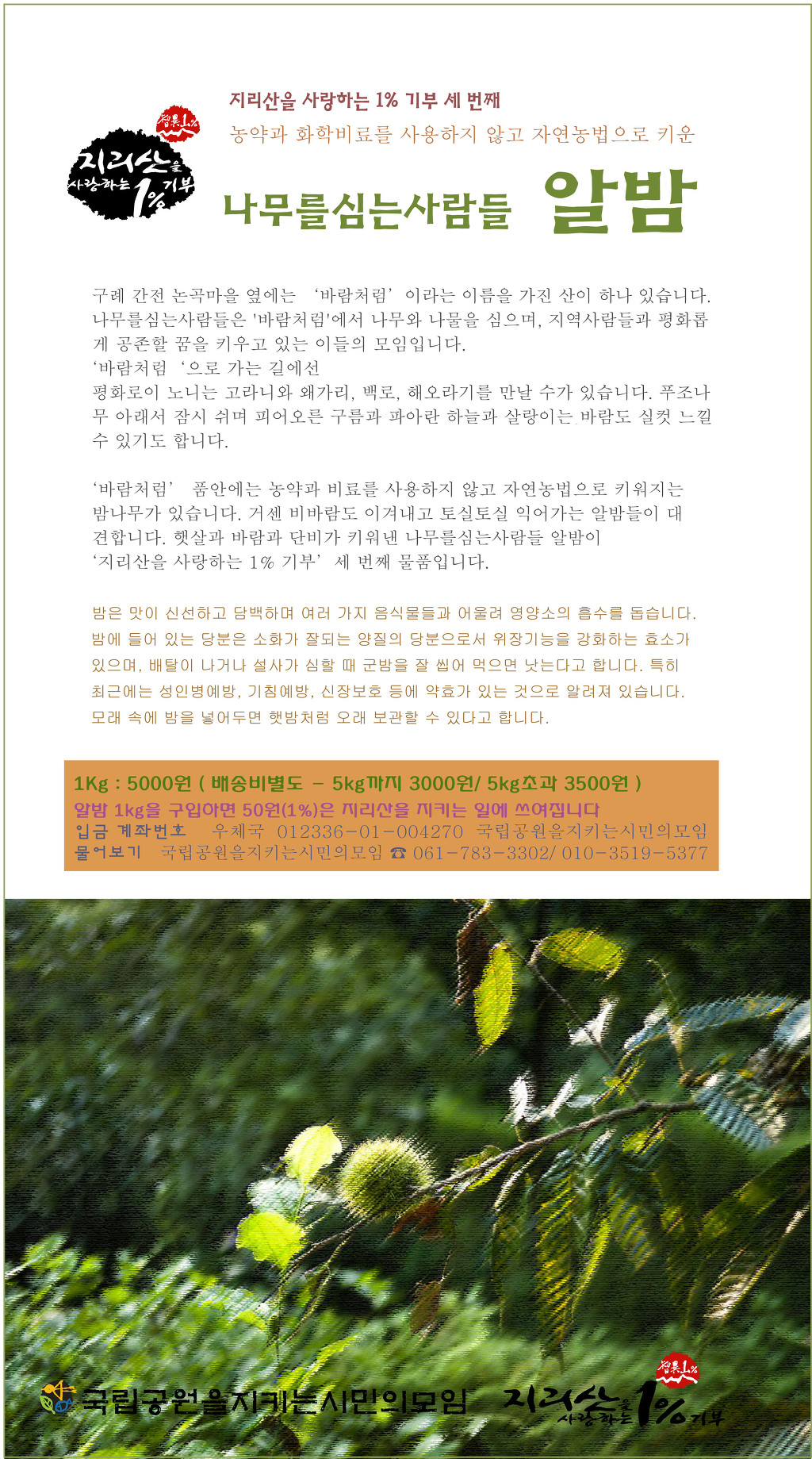 나무를심는사람들 이미지