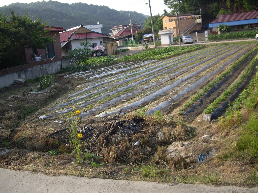 충주IC 이미지