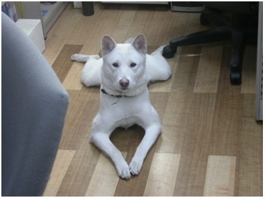 일미정 이미지