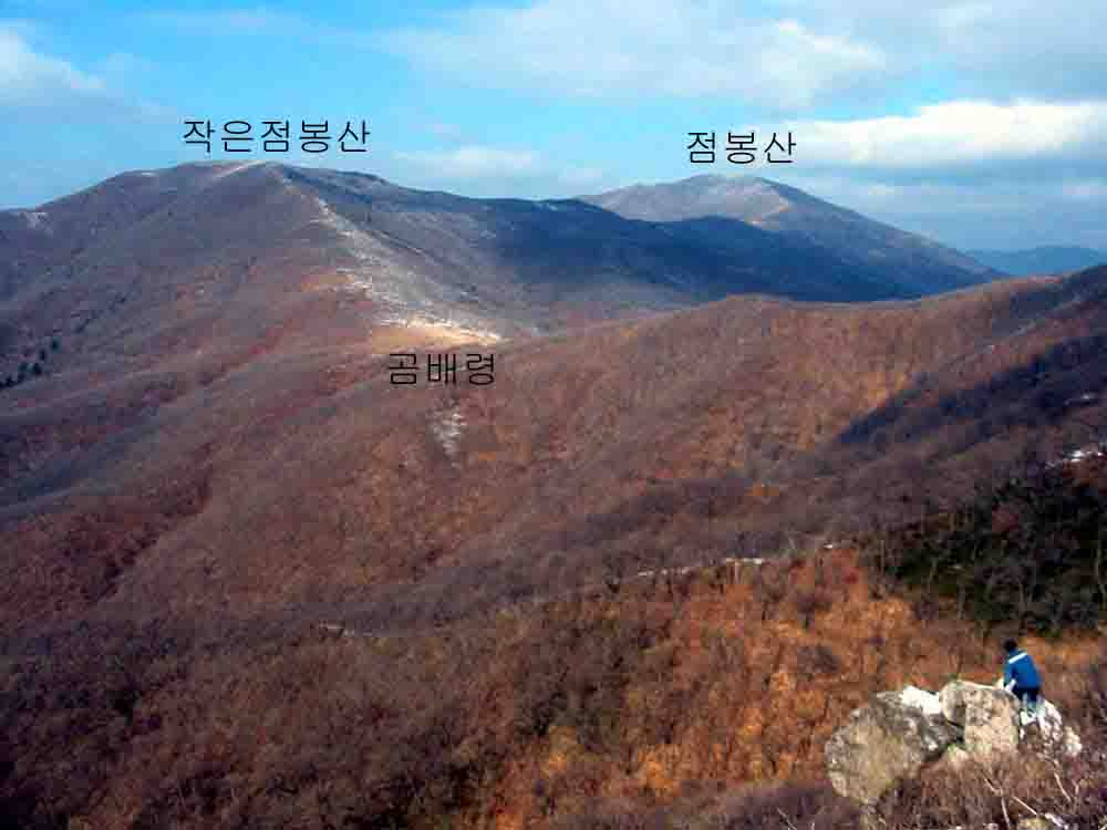 점봉산막국수 이미지