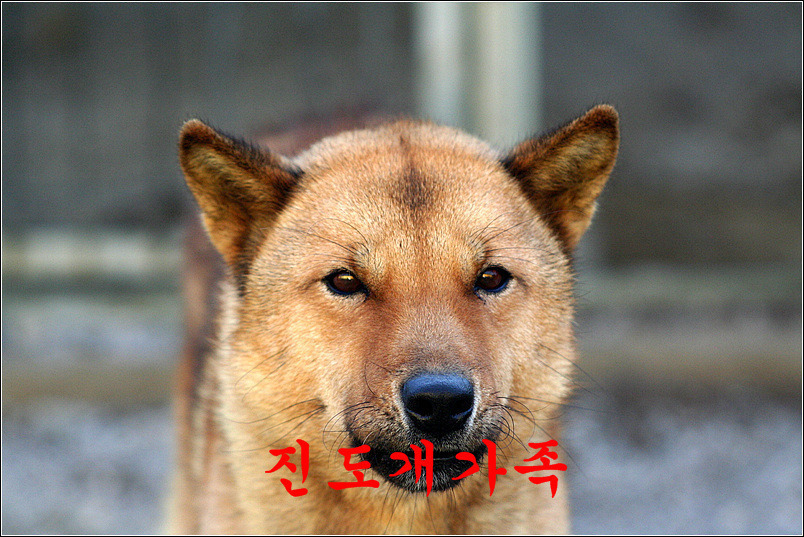 행운축산 이미지