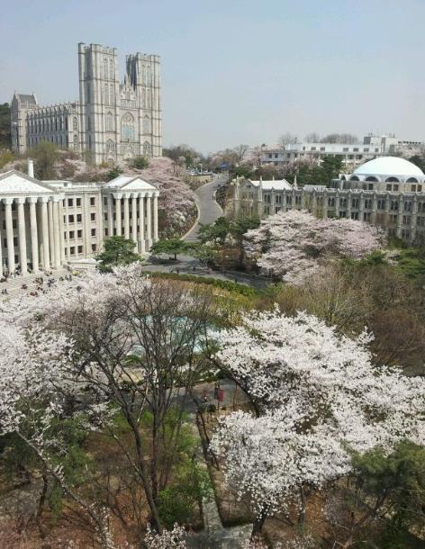 1학기 개강 VS 2학기 개강 // 여시들이 더 좋아하는 느낌은? | 인스티즈