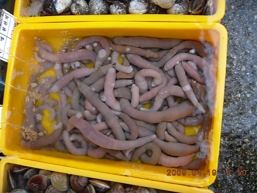위도수산 이미지