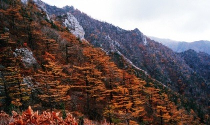 금강산 이미지