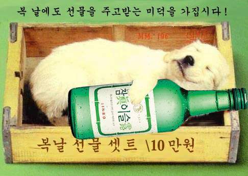 복달이 이미지