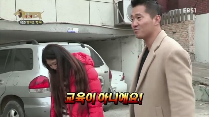 공격적인 반려견이 되는 이유 2부.jp | 인스티즈