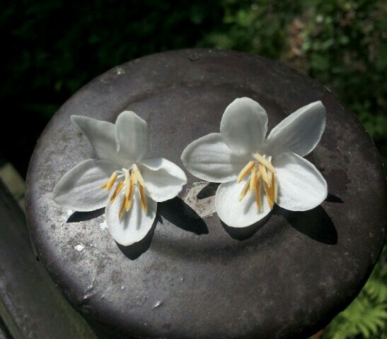 (주)찬밀 이미지