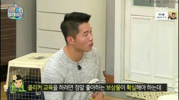 [마리텔] 강형욱 훈련사도 포기한 강아지 도비 | 인스티즈