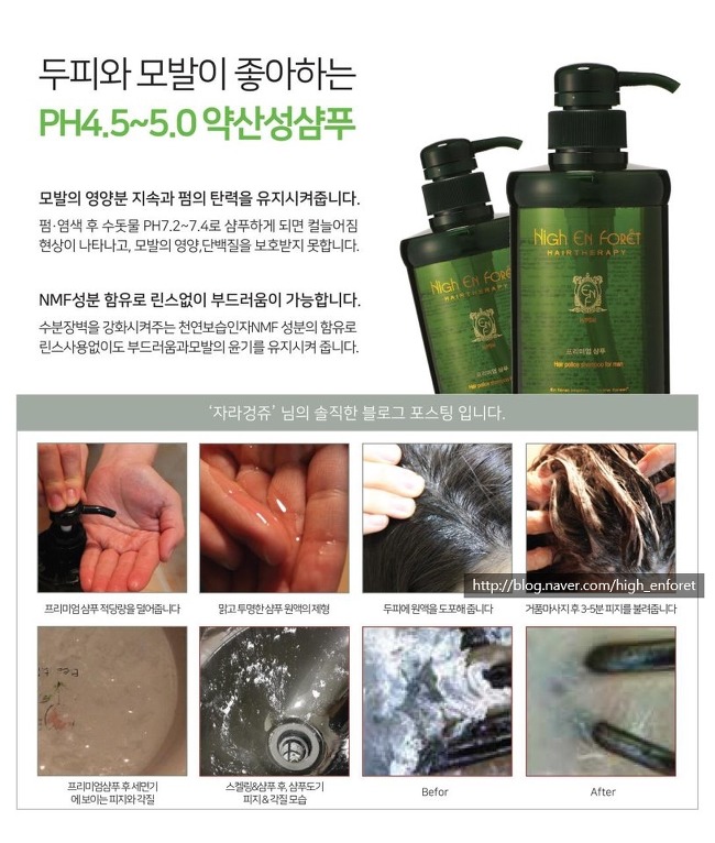 앙포레 이미지