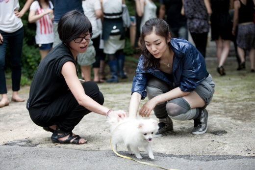 왈왈왈 이미지