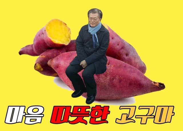 🍠 고구마와 고구마 🍠 | 인스티즈