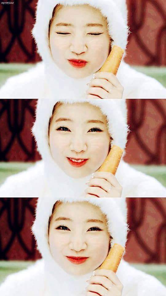 트와이스 다현 토끼 | 인스티즈