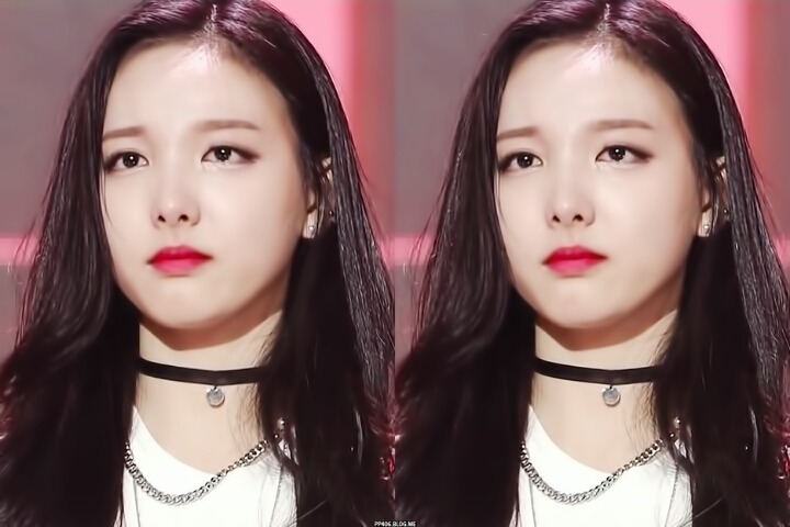 부타 이미지