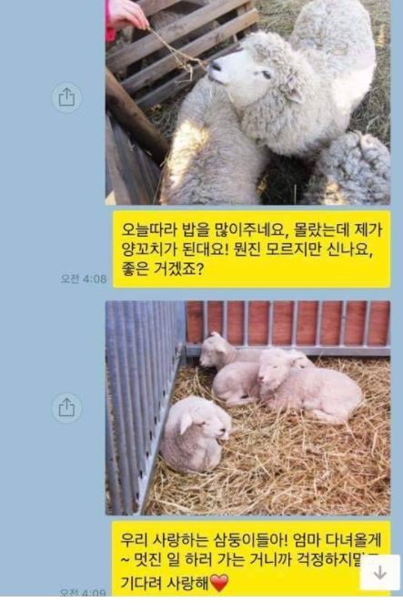 친구가 다이어트 도우미 | 인스티즈
