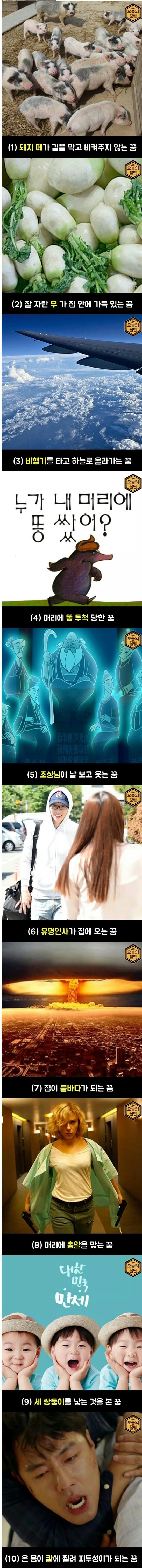 로또 사야되는 꿈 | 인스티즈
