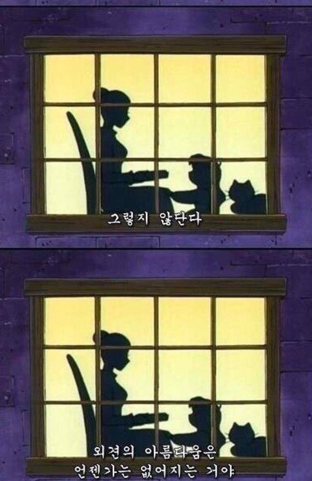 외견의 아름다움은 언젠가 사라진단다 | 인스티즈