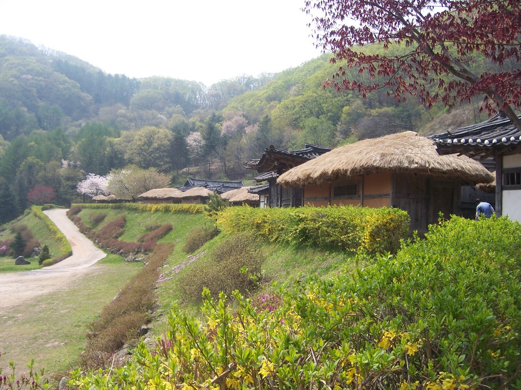 취화선 이미지