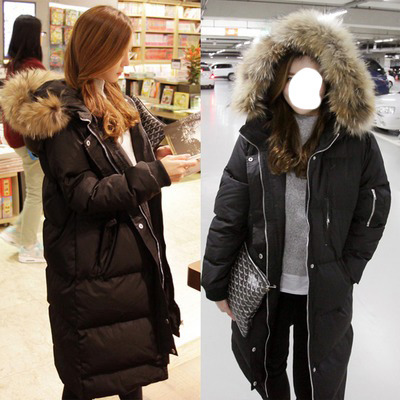 너구리 한마리 몰고 가세요........아니 그만 몰고 가세요................ | 인스티즈