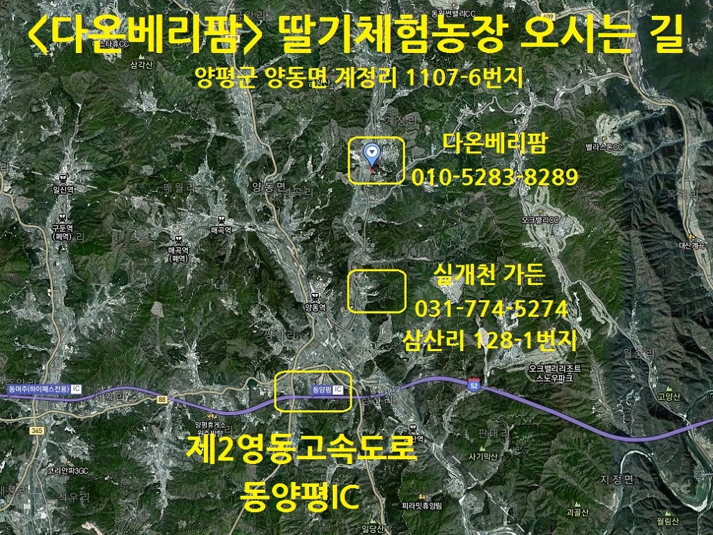 다온농장 이미지
