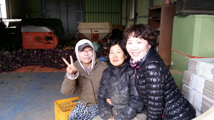 영임 이미지