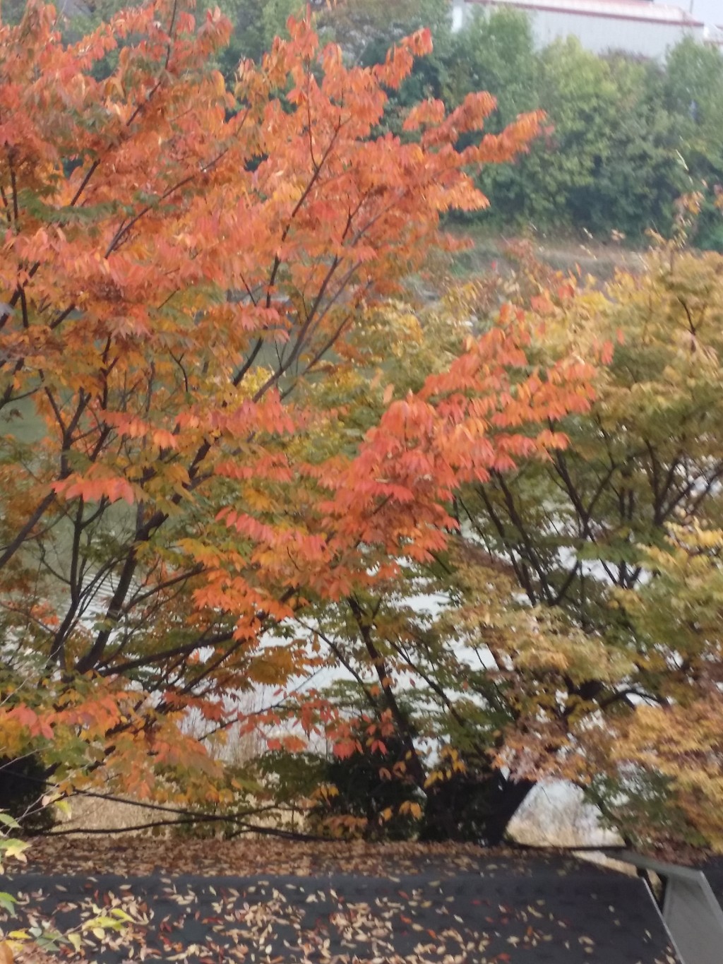 풍경휴게실 이미지