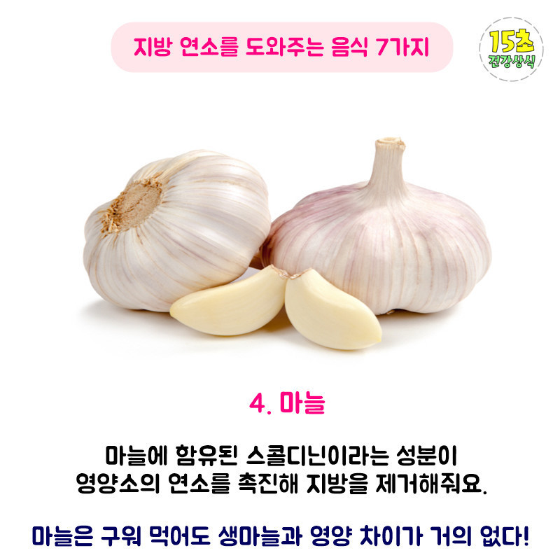 지방 연소에 도움이 되는 음식 | 인스티즈