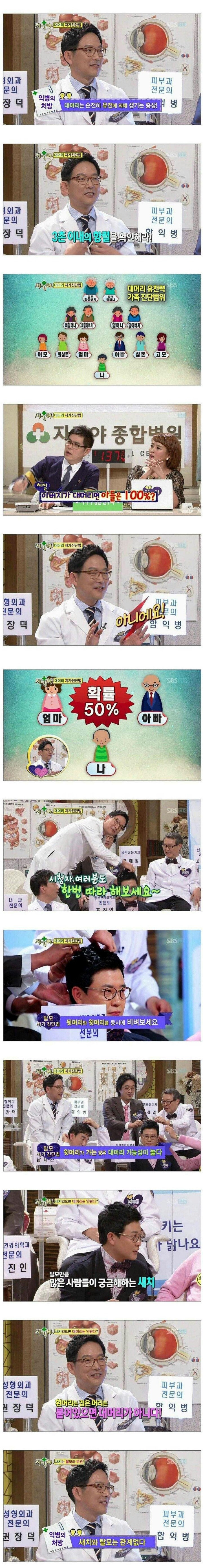 전문의가 알려주는 탈모상식 | 인스티즈