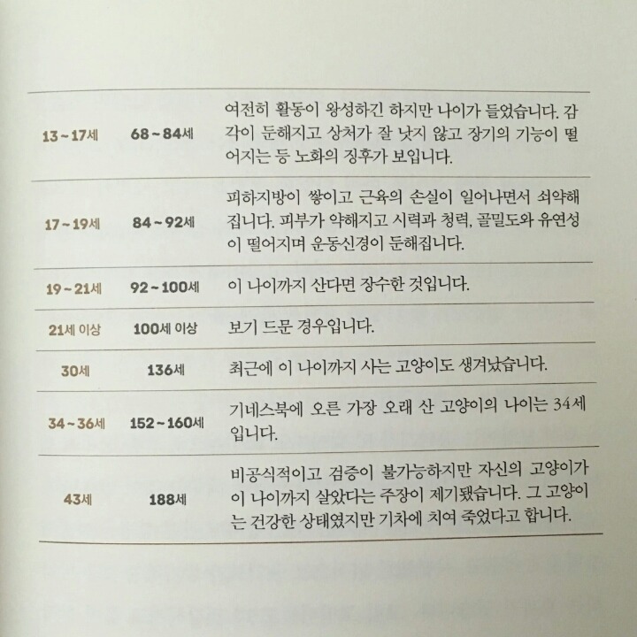 나이든 고양이와 살아가기(feat.나이별특징) | 인스티즈