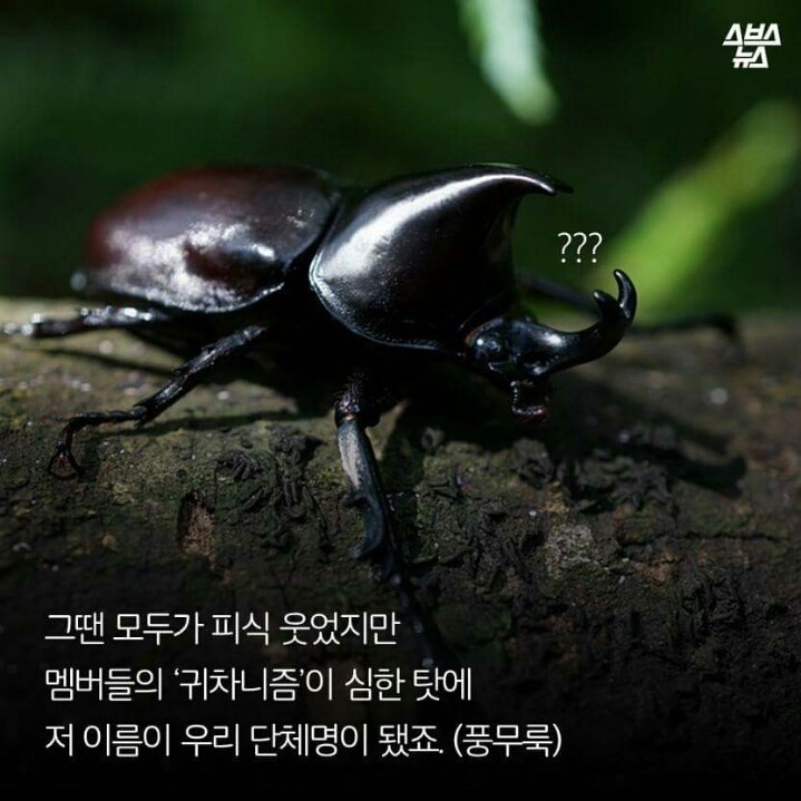 광화문 집회에 나온 장수풍데이 연구회의 진실.jpg | 인스티즈